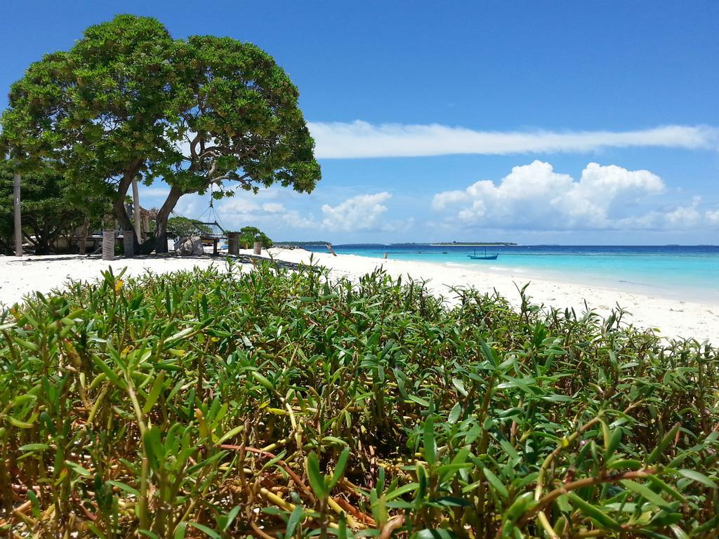 Lvis Blancura Hotel Dharavandhoo Exteriör bild