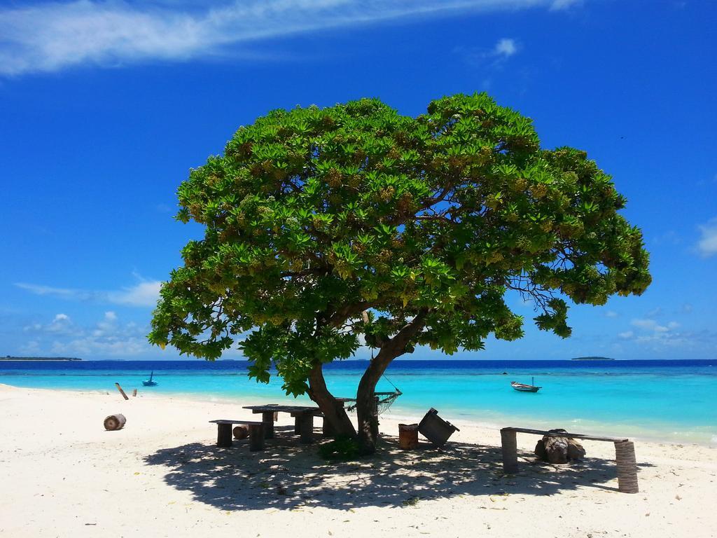 Lvis Blancura Hotel Dharavandhoo Exteriör bild