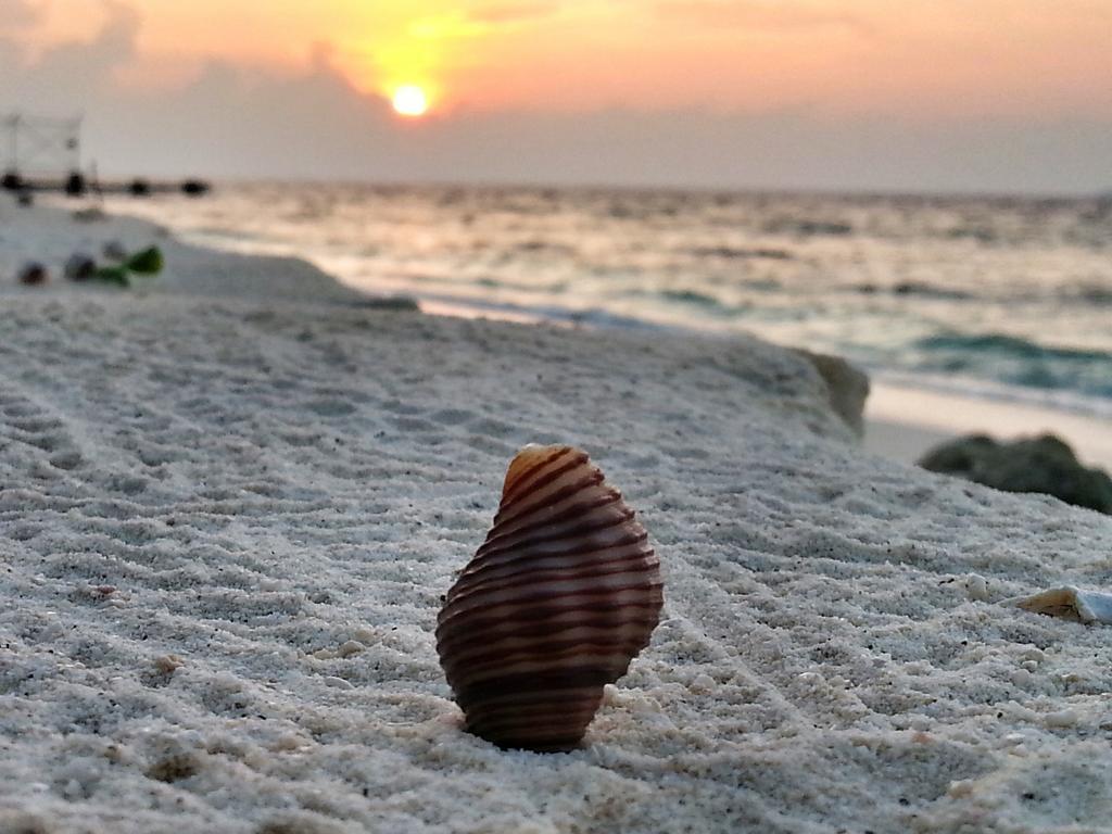 Lvis Blancura Hotel Dharavandhoo Exteriör bild