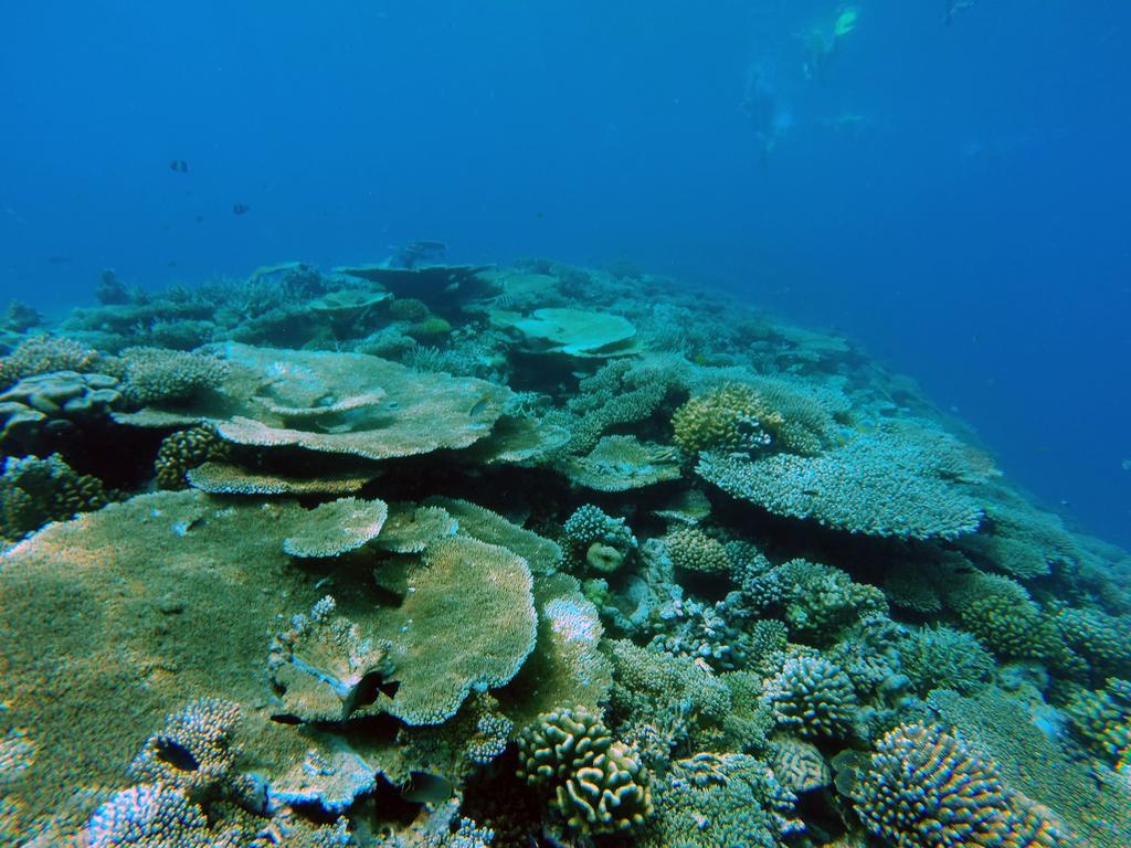 Lvis Blancura Hotel Dharavandhoo Exteriör bild